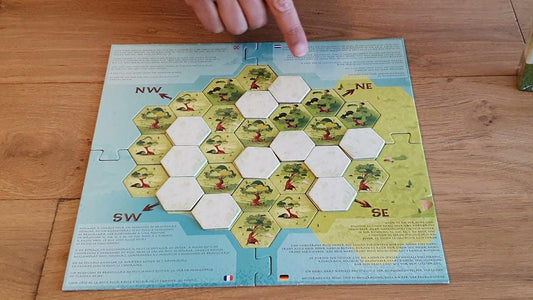 Menhirs dans le Brouillard - EasyMeeple