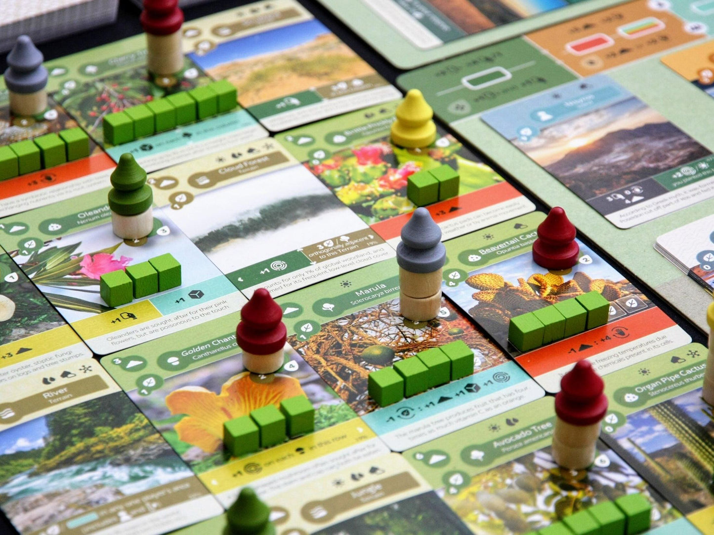 Earth - EasyMeeple