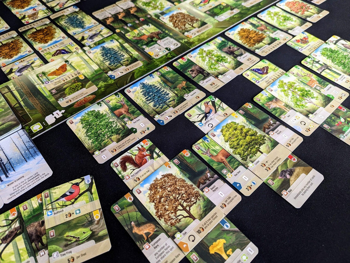 Forest Shuffle - EasyMeeple