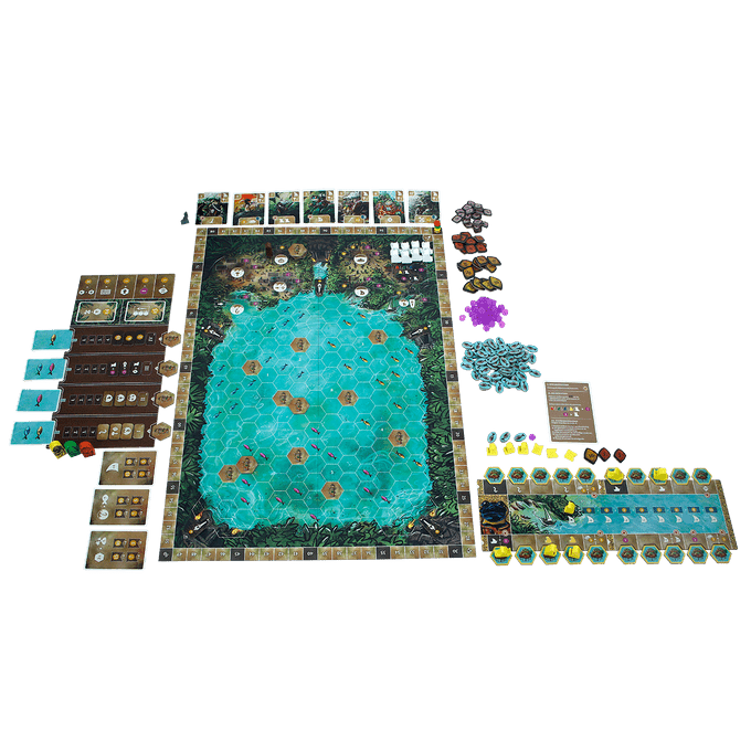 Feya's Swamp board game set up for play