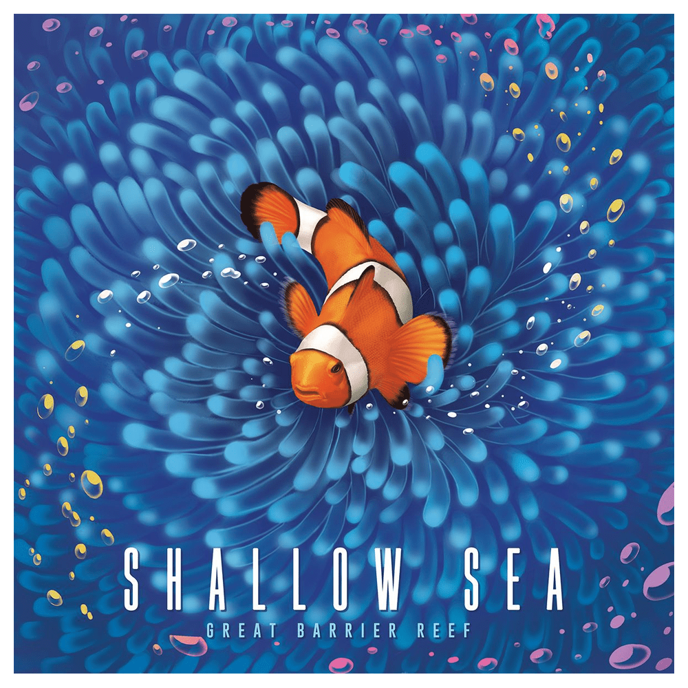 Shallow Sea complete 2D front cover centred on a square white background